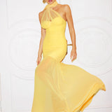Ulasa Ruched Mesh Maxi Dress