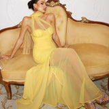 Ulasa Ruched Mesh Maxi Dress