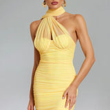Ulasa Ruched Mesh Maxi Dress